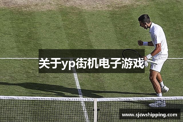 关于yp街机电子游戏